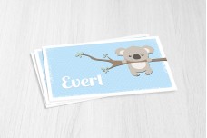 Lieve koalabeer Lieve koalabeer